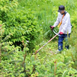 【低圧太陽光発電所草刈り：年3回】 ※フェンス内刈り倒しのみ